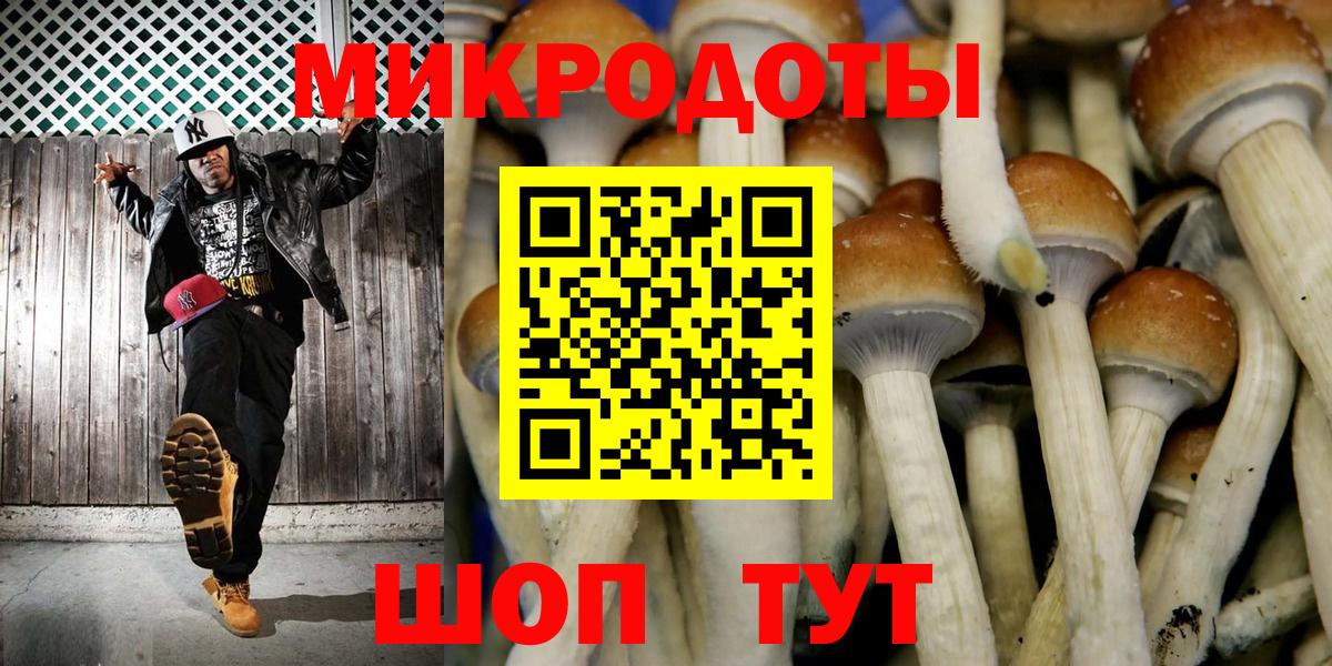 Псилоцибиновые грибы прущие грибы  Вход с VPN  Свободный 